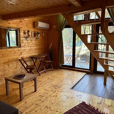Conacul Lui Patrick Hotel Poenari Bagian luar foto