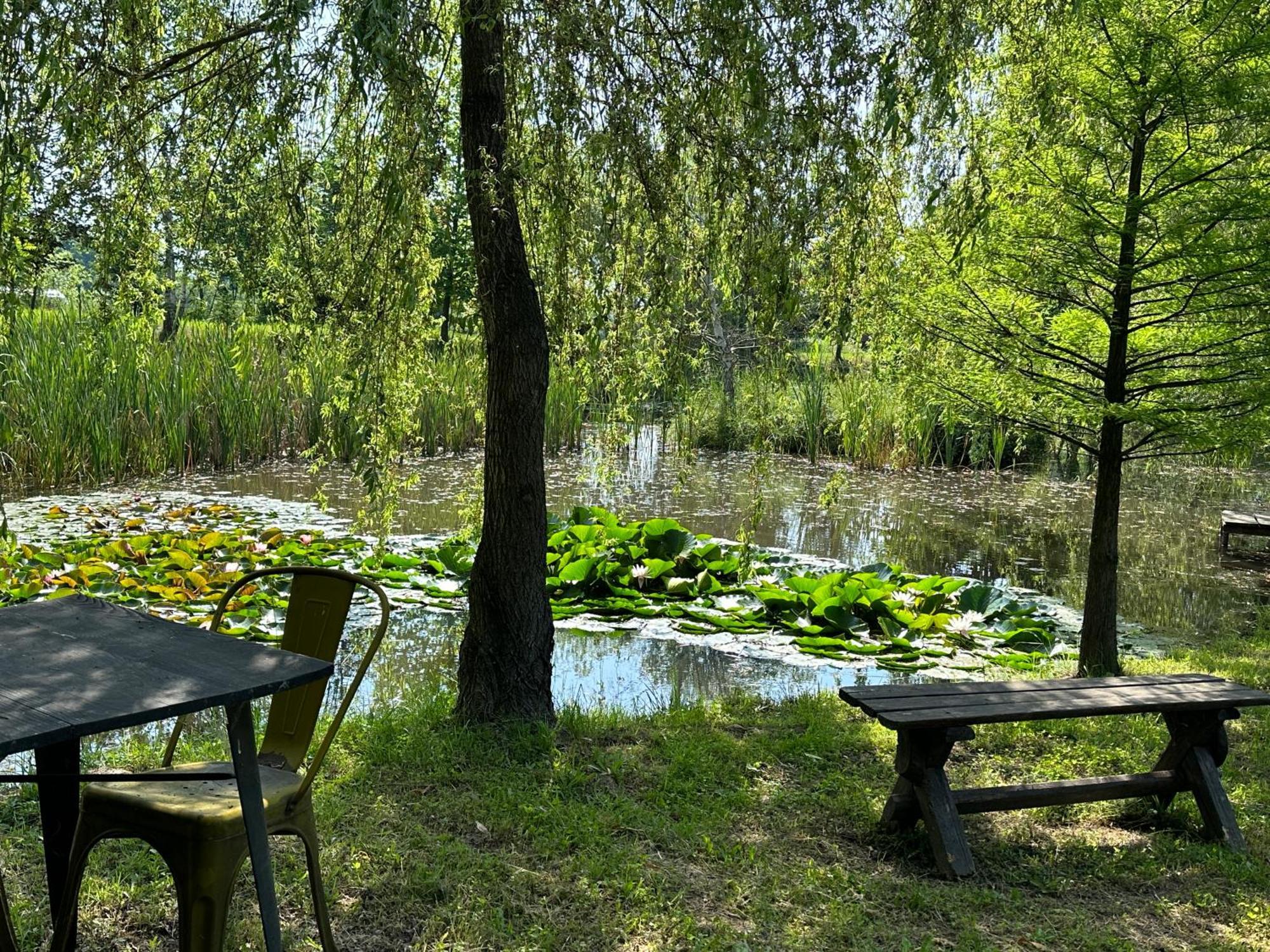 Conacul Lui Patrick Hotel Poenari Bagian luar foto